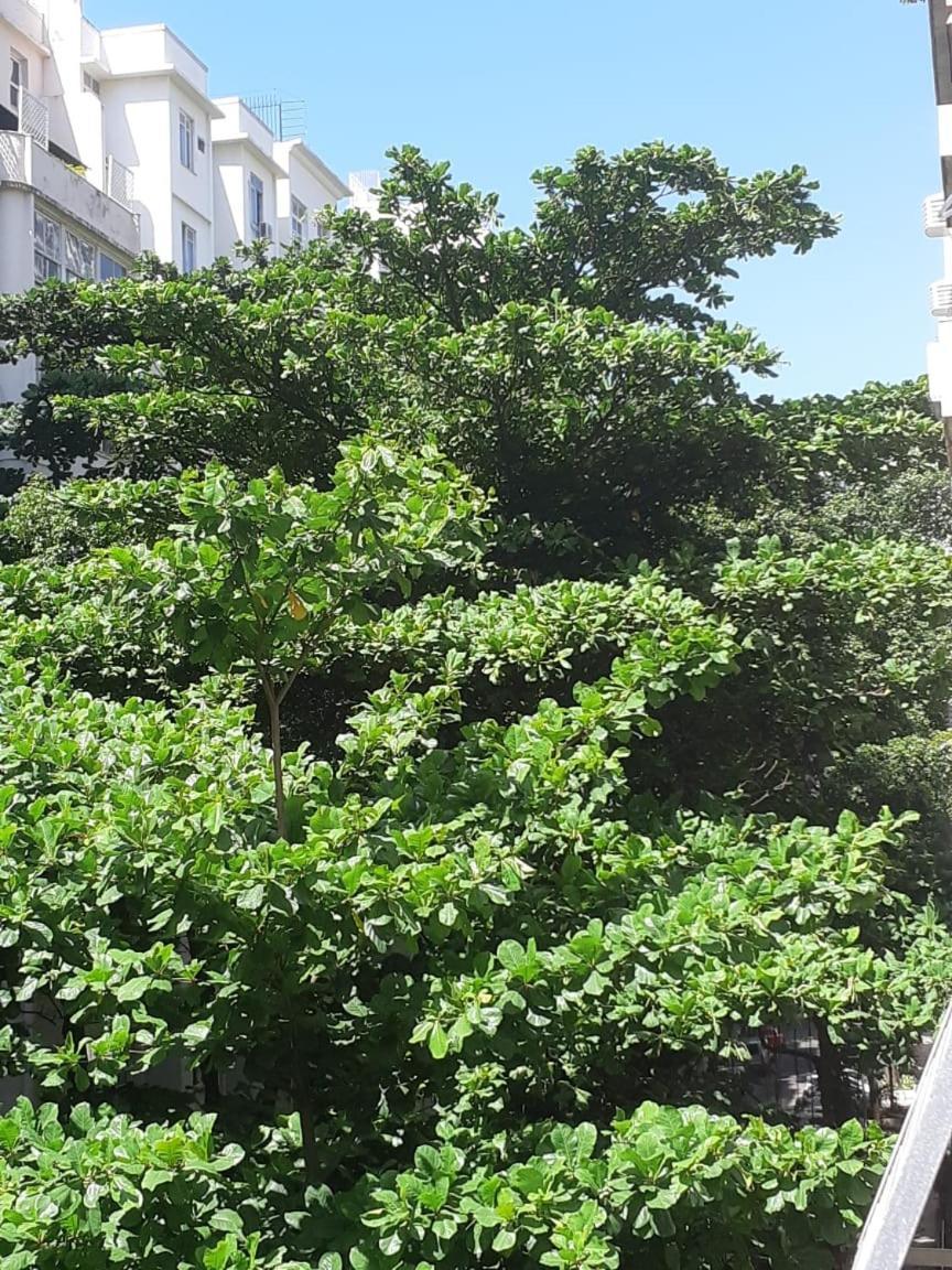 Apartameto Sa Ferreira 138 Apartment